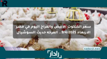 سعر الكتكوت الأبيض والفراخ اليوم في مصر الأربعاء 9/4/2025.. الفرخة حديث السوشيال